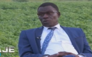 Dal Daje avec Farba Senghor sur la Rdv