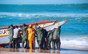 Accrochage entre pêcheurs guinéens et sénégalais au port de pêche artisanale de Bonfi : ce qui s’est réellement passé