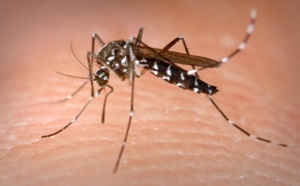 Touba : la dengue est passée de 8 à 38 cas