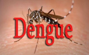 Dengue : Le moustique responsable ne pique que le jour (Spécialistes)