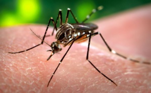 Sensibilisation sur l'épidémie de Dengue à l'occasion du Magal de Touba 2018