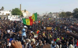 Retrait de l'agrément de l'Ong Lead: La Société Civile vent debout contre la décision de l’Etat