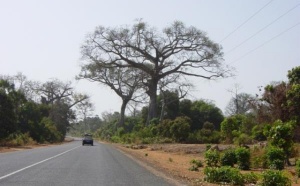 Conflit entre chauffeurs sénégalais et gambiens :Le Premier ministre s'investit pour un solution heureuse