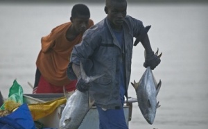 [Reportage audio] Cheikh Salla Ndiaye, président du Collectif national des diplômés de la pêche : « le secteur de la Pêche traverse la situation la plus dramatique de son existence »