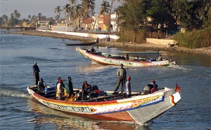 [Audio] Le cris de détresse des pêcheurs de Saint-Louis face à l'amateurisme qui sévit dans le secteur de la pêche