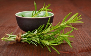 Le romarin: un remède naturel contre l`hypotension