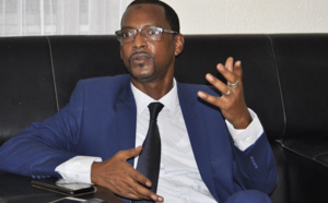 Entreprises françaises "épinglées" pour fraude fiscale: Mame Boye Diao dément Sonko 