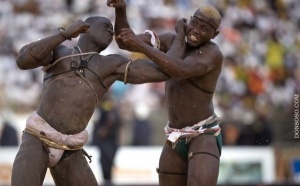 La lutte avec frappe est en train de tuer la boxe au Sénégal (DTN)