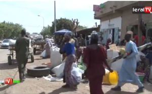 Vidéo : Les opérateurs économiques de Touba se félicitent du bon déroulement de la campagne arachidière