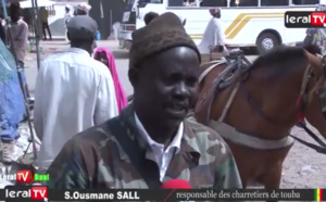 VIDEO - Transport à Touba : les charretiers tirent sur la commune et volent la vedette aux conducteurs