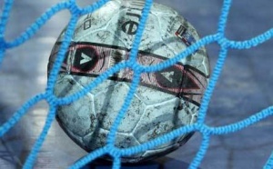 Les Lionnes gagnent le tournoi de Guadeloupe