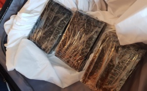 Bissau: 800 kg de cocaïne saisis dans un camion sénégalais !
