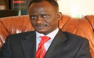 Dr Cheikh Dieng, chargé des élection du Pds : « Me Wade a eu raison sur tout le monde »