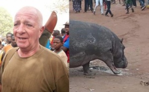 Hippopotame tué à Kédougou : la polémique enfle