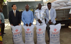 Guinée-Bissau : le ministre de l’Agriculture et  un conseiller du Président Vaz au cœur d'un scandale de vol de riz
