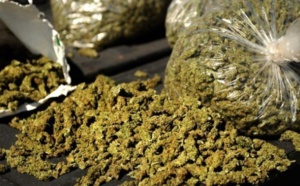 Kaolack - Trafic de drogue : Lamine Sané écope de 10 ans de prison