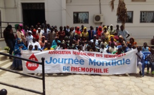 Santé : 239 cas d'hémophiles recensés au Sénégal