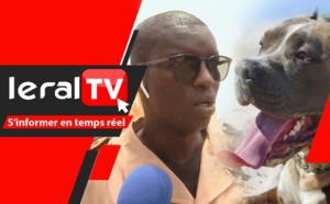 VIDEO - Oumar Ndiaye, sous-préfet de Pikine: "Le propriétaire du pitbull sera déféré au parquet..."