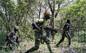 Ziguinchor : un enfant qui ramassait des noix d’anacarde, ‘’canardé’’ par des bandes armées