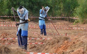Casamance: Le déminage n'y fait pas l’unanimité  