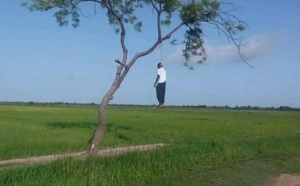 Linguère: un Malien retrouvé pendu à un arbre