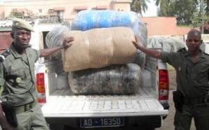 Trafic de stupéfiants: Ziguinchor carrefour du « Yamba »