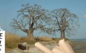 APRES 85 ANS DE PRESENCE: Eiffage Sénégal refuse l’étiquette de société étrangère
