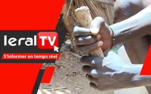 VIDEO - Diassap : Zoom sur le mystère du rallongement des parties génitales