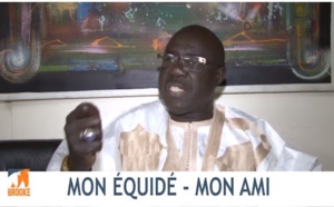 VIDEO - Khadim Samb dénonce les actes de maltraitance sur les chevaux et les ânes