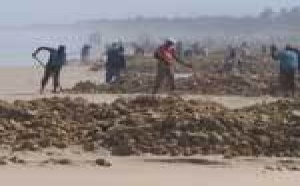 A CAUSE DE L’EXTRACTION DU SABLE MARIN : La commune de Malika sur le point d’être rayée de la carte du Sénégal