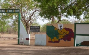 Exploitation illégale d’or au Parc Niokolo Koba : le maire de Tomborokoto entendu par la gendarmerie