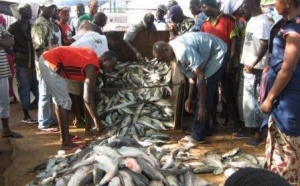 ALIMENTATION: La pêche artisanale peut aider à combler les besoins alimentaires des populations