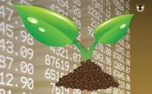 Economie: Le Secteur Agricole dotée d'une Bourse agricole