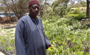 L’Uncefs accompagne la politique nationale de reforestation du gouvernement…