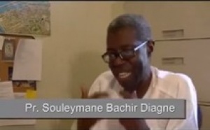 Video-Conférence: le rôle de la diaspora au Sénégal et en Afrique