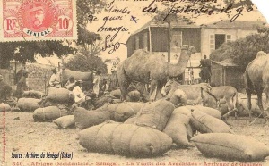 ( Photo Archive ) - La traite des arachides : arrivage des graines.