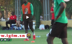 VIDEO - CAN 2019: des supporters algériens perturbent l'entraînement des "Lions"