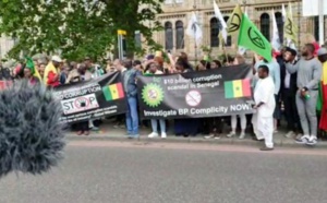 Scandale Petro-Tim: La Diaspora ne lâche pas les Sall