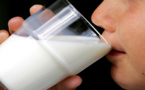 Le lait : Un compagnon indispensable d’une alimentation équilibrée !