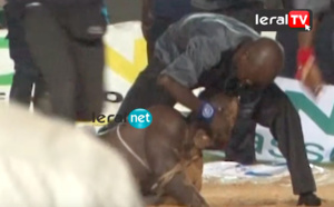 Vidéo - Incroyable ! L'arbitre a sauvé Eumeu Sène d'un étouffement grave. Regardez !