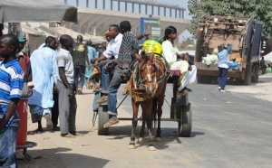SENEGAL : 2012 démarre en charrette (Images de Dakar en calèche)