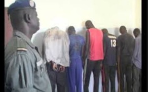 Tivaouane : la gendarmerie démantèle un réseau de trafic de chanvre indien