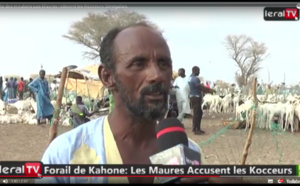VIDEO - Cherté des moutons au foirail de Kahone: Les Maures indexent les "coxeurs" sénégalais
