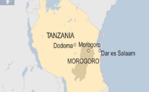 Tanzanie: Au moins 60 morts dans l'explosion d'un camion-citerne
