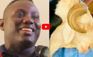 VIDEO - Serigne Mountakha offre au lutteur Wouly, un mouton d’une valeur d’un million de FCFA