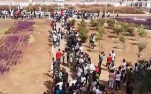 Finale Afrobasket-Sénégal/Nigeria : regardez la forte mobilisation à Dakar Aréna