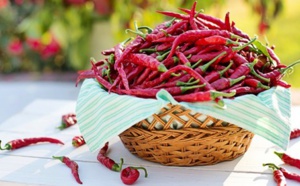 Vivre plus longtemps grâce au feu du piment
