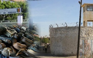 Bracelets électroniques: la solution de Me Maclick Sall pour décongestionner les prisons