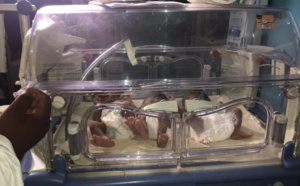 Kaolack - Bébé Achoura: Un triplé pour la nouvelle année musulmane