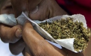 Trafic de chanvre indien: Un dealer en cours d'une course-poursuite avec la police, saute d'une terrasse